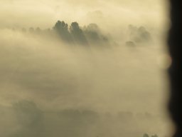 IMG_1541